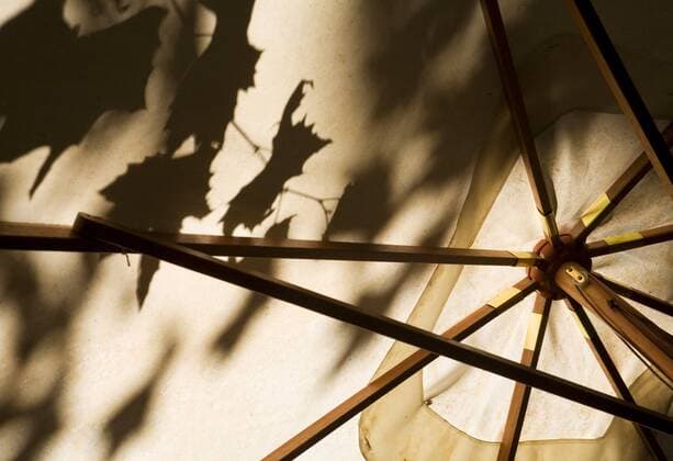 IMAGO Creative, Sommer, Schatten-Plätze bei Hitze Schatten von Blaettern auf einem Sonnenschirm, Italien, Rom Tree leaves cast shadows over a street umbrella, Italy, Rome BLWS156459
