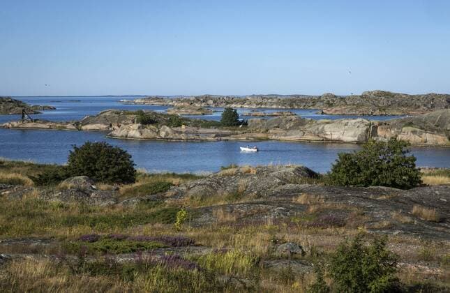 Baltic Sea. Finland. Aland Islands and settlements on them. NikolayxGyngazov 