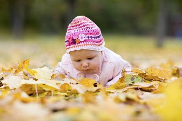 3 Monate altes Baby liegt im Herbstlaub Cute 3-months old baby girl in fallen yellow leaves BLWS237845