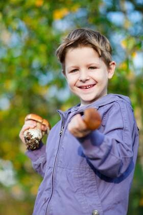 ein kleiner Junge zeigt zwei Waldpilze a little boy showing two wild mushrooms BLWS272261