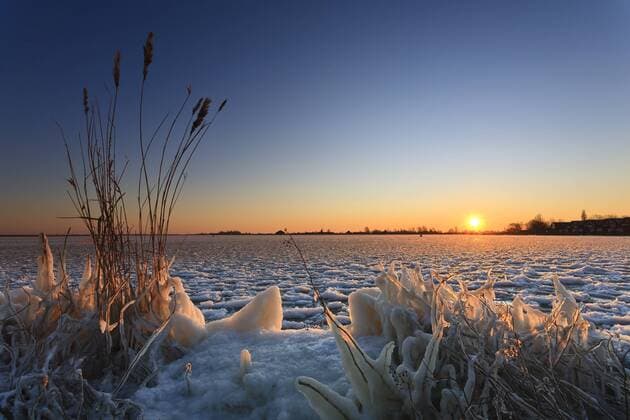 Sunrise at frozen alkmaardermeer lake with reed and frozen plants at foreground, the netherlands, noord-holland, alkmaardermeer  PimxLeonards (225190)