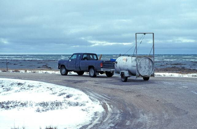 Eisbaer (Ursus maritimus), Transport einer Eisbaerenfalle, Kanada, Manitoba, Churchill polar bear (Ursus maritimus), transport of a polar bear trap, Canada, Manitoba, Churchill BLWS020520