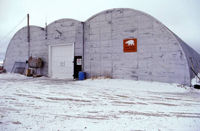 Eisbaer (Ursus maritimus), Eisbaerzwinger, Kanada, Manitoba, Churchill polar bear (Ursus maritimus), polar bear kennel, Canada, Manitoba, Churchill BLWS020521