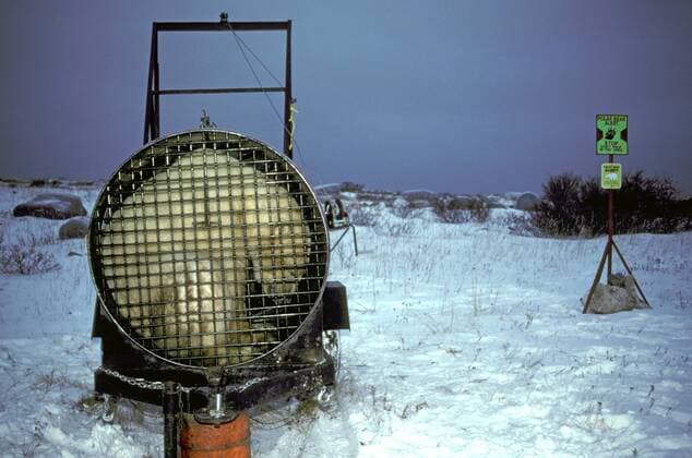 TECHNIK UND WISSENSCHAFT Fotostory: Eisbär-Untersuchung in Kanada Eisbaer (Ursus maritimus), Eisbaer in der Falle, Kanada, Manitoba, Churchill polar bear (Ursus maritimus), polar bear in a trap, Canada, Manitoba, Churchill BLWS020518