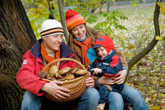 Family picking up mushrooms together in the forest.  1275842