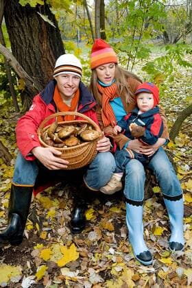 Family picking up mushrooms together in the forest.  1275843