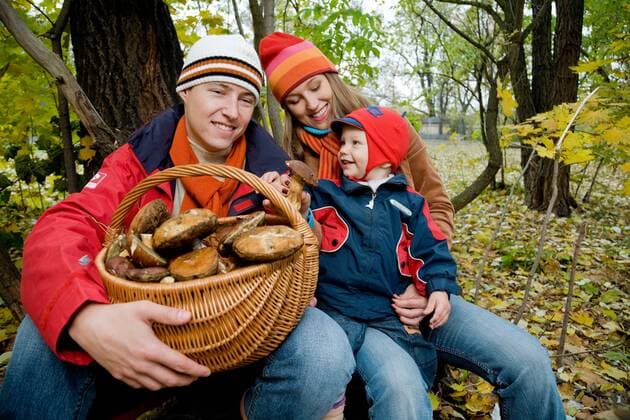 Family picking up mushrooms together in the forest.  1275845