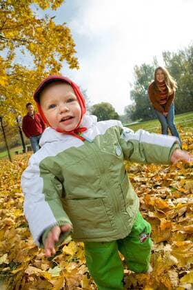Family spending time together in park.  1275806