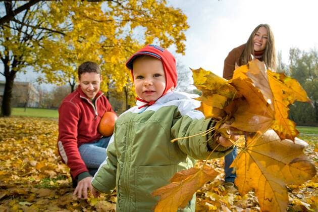 Family spending time in park.  1275810