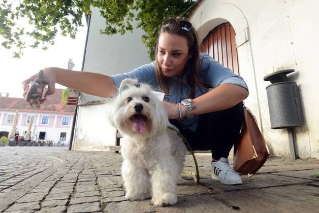 Garden of Eden of Angels Museum held a concert for pets 16.09.2015., Croatia, Varazdin - Garden of Eden of Angels Museum held a concert for pets. The concert was attended by singer Sanja Dolezal and Minister of Social Welfare and Youth Milanka Opacic with her dog Jumper.  MarkoxJurinec PIXSELL