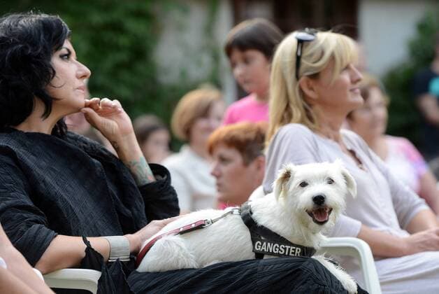 Garden of Eden of Angels Museum held a concert for pets 16.09.2015., Croatia, Varazdin - Garden of Eden of Angels Museum held a concert for pets. The concert was attended by singer Sanja Dolezal and Minister of Social Welfare and Youth Milanka Opacic with her dog Jumper.  MarkoxJurinec PIXSELL