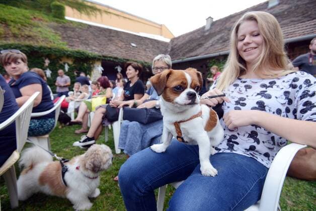 Garden of Eden of Angels Museum held a concert for pets 16.09.2015., Croatia, Varazdin - Garden of Eden of Angels Museum held a concert for pets. The concert was attended by singer Sanja Dolezal and Minister of Social Welfare and Youth Milanka Opacic with her dog Jumper.  MarkoxJurinec PIXSELL