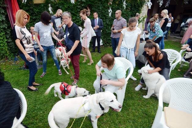 Garden of Eden of Angels Museum held a concert for pets 16.09.2015., Croatia, Varazdin - Garden of Eden of Angels Museum held a concert for pets. The concert was attended by singer Sanja Dolezal and Minister of Social Welfare and Youth Milanka Opacic with her dog Jumper.  MarkoxJurinec PIXSELL