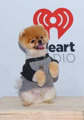 Jiff arrives in the press room for the iHeartRadio Music Festival at the MGM Grand Hotel in Las Vegas, Nevada on September 18, 2015.  LAV20150918062 JAMESxATOA