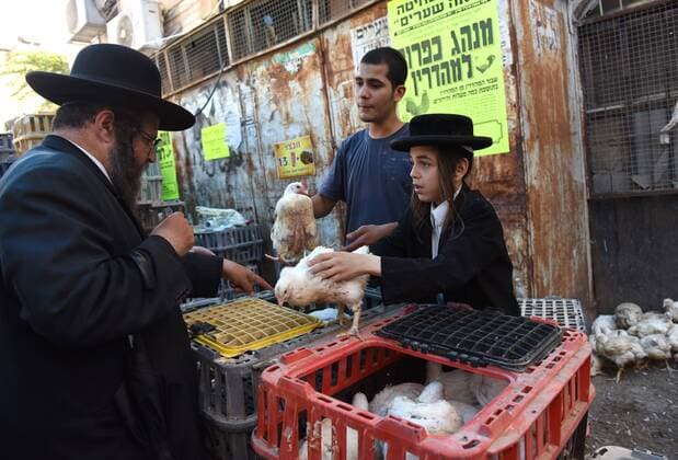 An Ultra-Orthodox Jew selects a chicken for the Kaparot ritual performed before Yom Kippur, the Day of Atonement, in Mea Shearim in Jerusalem, Israel, September 20, 2015. Jews recite prayers in the Kaparot ritual while swinging a live chicken over their heads to symbolically transfer their sins for the year to the chicken, which is butchered, eaten or donated to charity. Yom Kippur, the holiest day in the Jewish year, begins at sundown September 22, when the entire country will come to a standstill as Jews pray, fast and refrain from smoking and sex.  JER2015092005 DEBBIExHILL