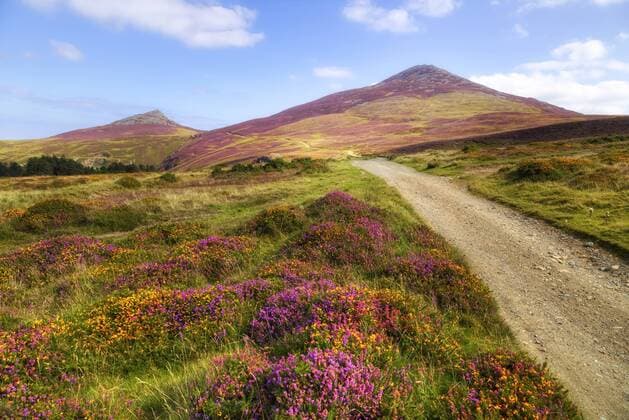 Yr Eifl, Llanaelhaearn, Llyn Peninsula, Snowdonia, Wales, United Kingdom