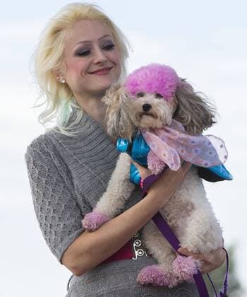 (150927) -- TORONTO, Sept. 27, 2015 -- A model displays a dressed up pet dog on stage during the fashion show event of the 2015 Woofstock at Woodbine Park in Toronto, Canada, Sept. 27, 2015. Woofstock is the largest outdoor festival for dogs in North America. ) CANADA-TORONTO-WOOFSTOCK-PET DOG-FASHION SHOW ZouxZheng 