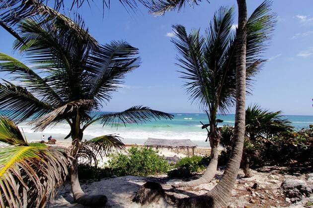 People clean a beach in Tulum, Quintana Roo state of Mexico, on Oct. 5, 2015. The beaches of Cancun and Tulum have been nominated as Mexico and Central America s leading beach destination 2015 in the World Travel Awards. Francisco Galvez ) (da) (sp) (lrz) MEXICO-TULUM BEACH-TOURISM NOTIMEX 