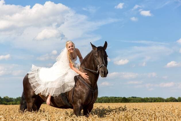 24.7.2015, Brusendorf, Brandenburg, GER - Brautpaar mit Pferd, MODEL RELEASE: YES. . .