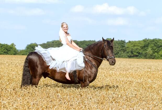 24.7.2015, Brusendorf, Brandenburg, GER - Brautpaar mit Pferd, MODEL RELEASE: YES. . .
