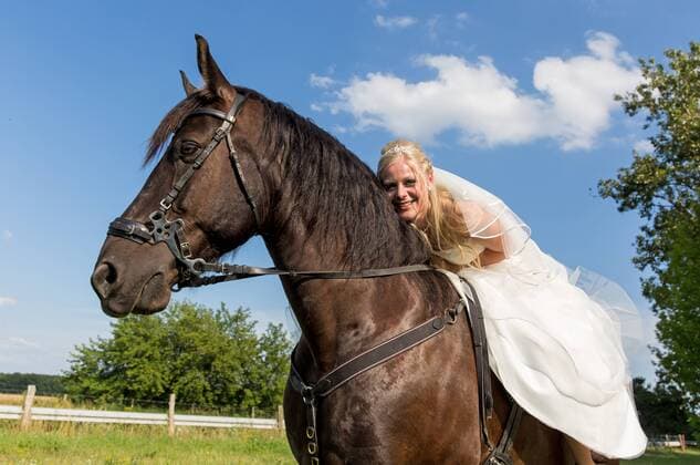 24.7.2015, Brusendorf, Brandenburg, GER - Brautpaar mit Pferd, MODEL RELEASE: YES. . .