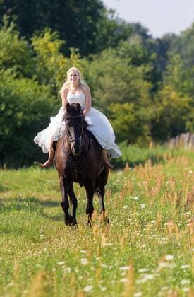 24.7.2015, Brusendorf, Brandenburg, GER - Brautpaar mit Pferd, MODEL RELEASE: YES. . .