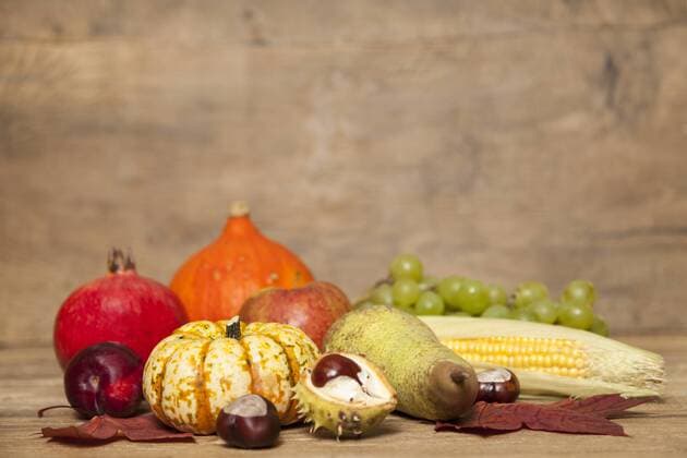 SERVICE UND RATGEBER Symbolbilder Erntedankfest Thanksgiving Stillleben mit Copy Space Thanksgiving Stillleben mit Copy Space