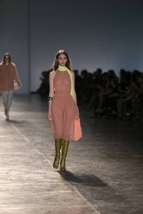 SAO PAULO, Brazil - 10 19 2015: SAO PAULO FASHION WEEK WINTER 2016- Animale during the Sao Paulo Fashion Week Winter 2016 held at Ibirapuera Park.  Ci?axNeder