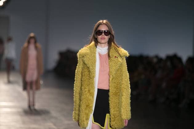 SAO PAULO, Brazil - 10 19 2015: SAO PAULO FASHION WEEK WINTER 2016- Animale during the Sao Paulo Fashion Week Winter 2016 held at Ibirapuera Park.  Ci?axNeder