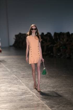 SAO PAULO, Brazil - 10 19 2015: SAO PAULO FASHION WEEK WINTER 2016- Animale during the Sao Paulo Fashion Week Winter 2016 held at Ibirapuera Park.  Ci?axNeder