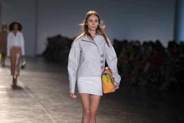 SAO PAULO, Brazil - 10 19 2015: SAO PAULO FASHION WEEK WINTER 2016- Animale during the Sao Paulo Fashion Week Winter 2016 held at Ibirapuera Park.  Ci?axNeder