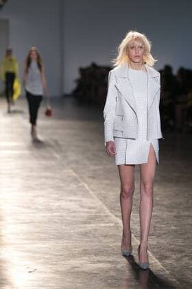 SAO PAULO, Brazil - 10 19 2015: SAO PAULO FASHION WEEK WINTER 2016- Animale during the Sao Paulo Fashion Week Winter 2016 held at Ibirapuera Park.  Ci?axNeder
