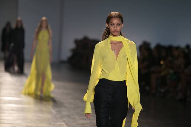 SAO PAULO, Brazil - 10 19 2015: SAO PAULO FASHION WEEK WINTER 2016- Animale during the Sao Paulo Fashion Week Winter 2016 held at Ibirapuera Park.  Ci?axNeder