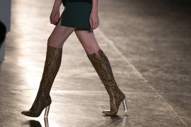 SAO PAULO, Brazil - 10 19 2015: SAO PAULO FASHION WEEK WINTER 2016- Animale during the Sao Paulo Fashion Week Winter 2016 held at Ibirapuera Park.  Ci?axNeder