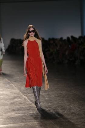 SAO PAULO, Brazil - 10 19 2015: SAO PAULO FASHION WEEK WINTER 2016- Animale during the Sao Paulo Fashion Week Winter 2016 held at Ibirapuera Park.  Ci?axNeder