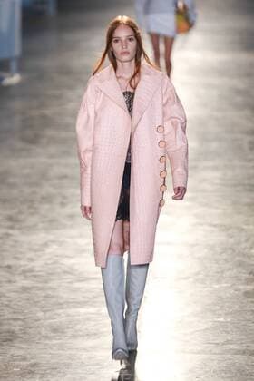 Oct. 19, 2015 - Sao Paulo, Sao Paulo, Brazil - A model presents a creation by Animale during the 2016 Winter collection of the Sao Paulo Fashion Week in Sao Paulo. Sao Paulo Brazil - ZUMAp133