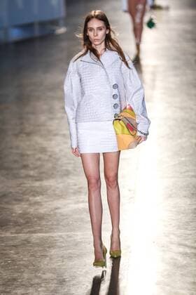 Oct. 19, 2015 - Sao Paulo, Sao Paulo, Brazil - A model presents a creation by Animale during the 2016 Winter collection of the Sao Paulo Fashion Week in Sao Paulo. Sao Paulo Brazil - ZUMAp133