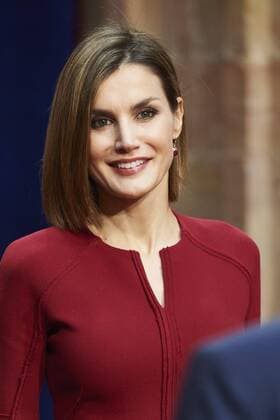 Oct. 23, 2015 - Oviedo, Principado de Asturias, Spain - Queen Letizia of Spain attended an audience with Princesa de Asturias Awards 2015 winners at the Reconquista Hotel on October 23, 2015 in Oviedo, Spain. Oviedo Spain  - ZUMAg15_