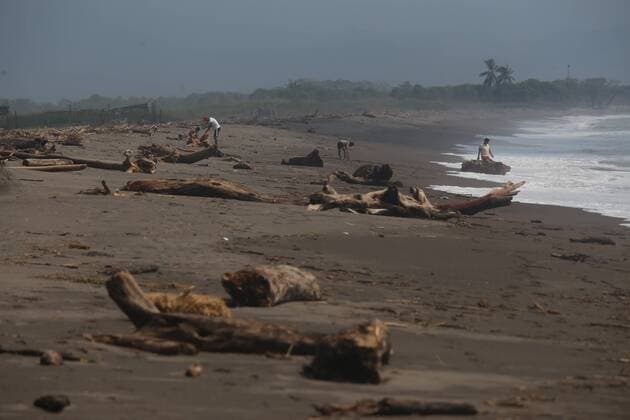 Oct. 25, 2015 - Michoacan, Mexico - People collect drift wood from the sea after hurricane Patricia hit Michoacan s coast. Hurricane Patricia hit southwestern Mexico as a category 5, bringing lashing rains, surging seas and cyclonic winds hours after it peaked. It was one of the strongest storms ever recorded. Michoacan Mexico - ZUMAp133