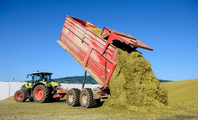 IMAGO Nature: Unsere Erde, Energiequellen, Biomasse Ein LKW kippt am 12.10.2015 in einer Biogas-Analge in der Nähe von Nossen (Sachsen) gehäckselte Maispflanzen in ein Silo.
