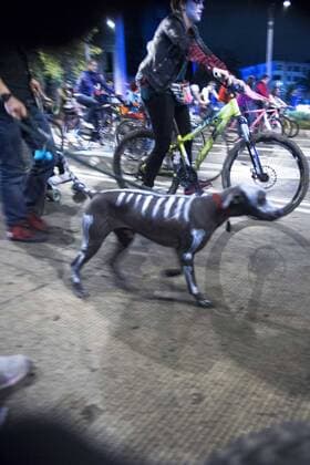 Oct. 31, 2015 - Mexico City, Mexico City, MX - Mexicans begin with their celebrations for the day of the dead, DÃƒÂ­a de los muertos, with a costume parade all along Paseo de la Reforma avenue on bikes. Mexico City MX - ZUMAa136