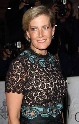 Harpers Bazaar Women of the Year Awards 2015 London, UK. Sophie Countess of Wessex at Harpers Bazaar Women of the Year Awards at Claridges, London on November 3rd 2015. LMK73-58657-041115 