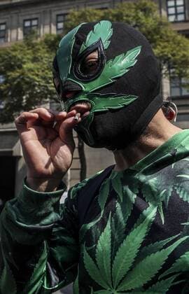 Nov. 4, 2015 - Mexico - MEXICO, D.F.- Maskierter Demonstrant lebt und raucht Marihuana  - ZUMAu78_ Mexiko: Oberstes Gericht erlaubt Marihuana-Konsum