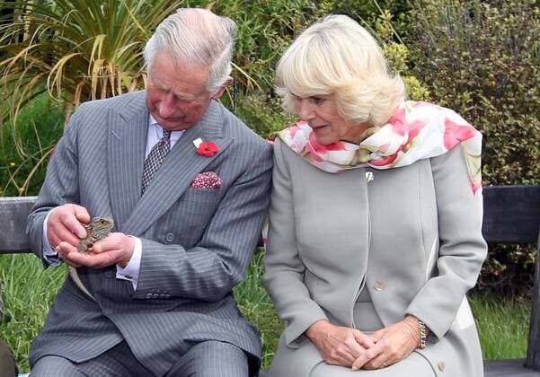 Prince Charles --- Dunedin --- New Zealand --- 05 11 2015 Dunedin, New Zealand - November 5, 2015 - Prince Charles, Prince of Wales, and Camilla, Duchess of Cornwall, look after a Tuatara during their visit to the Orokonui Ecosanctuary on November 5, 2015 in Dunedin, New Zealand. Charles and Camilla visit New Zealand from November 4 to November 10 attending events in Wellington, Dunedin, Nelson, Westport, Ngaruawahia, Auckland and New Plymouth.
