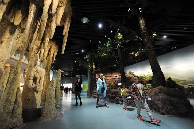 (151109) -- CHONGQING, Nov. 9, 2015 -- Visitors are seen in the new venue of Chongqing Museum of Natural History in southwest China s Chongqing Municipality, Nov. 9, 2015. With an investment of nearly 400 million yuan (around 63 million US dollars), the new venue of Chongqing Museum of Natural History opened to the public on Monday. The universal museum contains more than 110,000 exhibits, covering the fields of astronomy, geography and biology. ) (zhs) CHINA-CHONGQING-MUSEUM-NATURE (CN) TangxYi 