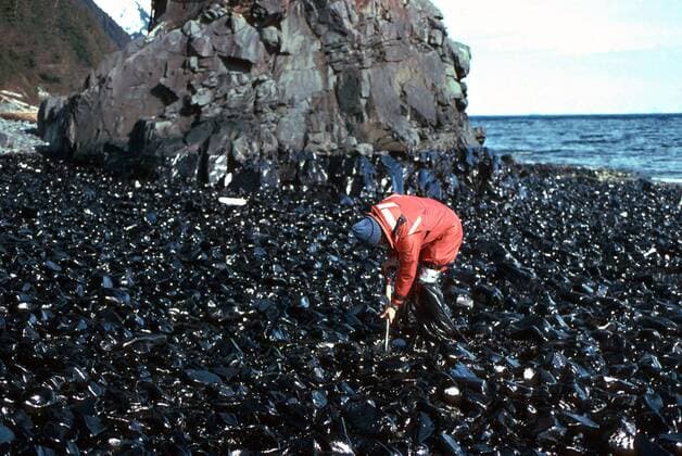 April 9, 1989 - Prince William Sound, AK, United States of America - A worker cleans up a heavily oiled area on Point Helen during clean up operations from the Exxon Valdez oil spill April 9, 1989 in Prince William Sound, Alaska. The Exxon Valdez spilled at least 11 million gallons of crude oil into the pristine waters of Prince William Sound on March 23, 1989. Prince William Sound United States of America - ZUMAp138