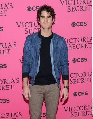 November 11 , 2015 - New York, NY - Darren Criss. 2015 Victoria s Secret Fashion Show Pink Carpet. AdMedia ADMEDIA_adm_pinkcarpet_cs_007  MarioxSantoro AdMedia SIPA