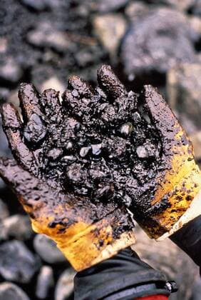 Feb. 20, 1990 - Prince William Sound, AK, United States of America - A worker holds a handful of oily rocks and beach after Meares Point, Perry lsland was signed off as cleaned February 20, 1990 following the Exxon Valdez oil spill in Prince William Sound, Alaska. The Exxon Valdez spilled at least 11 million gallons of crude oil into the pristine waters of Prince William Sound on March 24, 1989. Prince William Sound United States of America - ZUMAp138