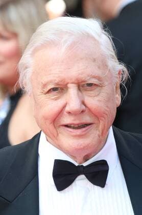 IMAGO ICONS: Sir David Attenborough May 18, 2014 - London, London, UK - UK. David Attenborough, Arqiva British Academy Television Awards - BAFTA, Theatre Royal Drury Lane, London UK, 18 May 2014. Photo credit : Richard Goldschmidt Piqtured LNP  - ZUMAl94
