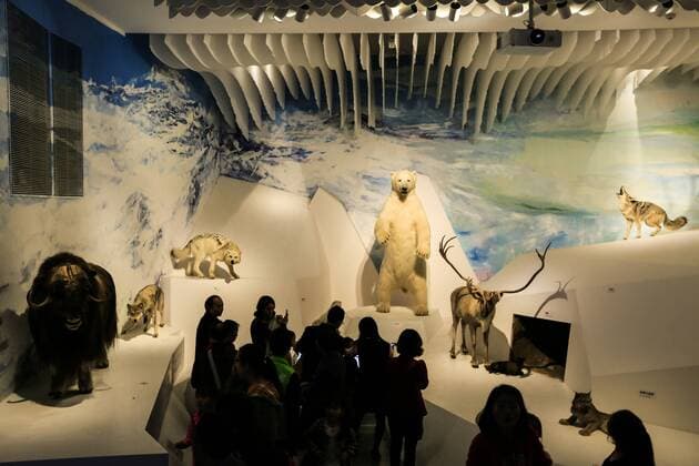 CHONGQING -- People visit the new Chongqing Museum of Natural History in Chongqing, southwest China, Nov. 15, 2015. The new Chongqing Museum of Natural History, the second largest natural museum in China, reopened on Nov. 9, 2015. ) (zwx) CHINA-CHONGQING-MUSEUM OF NATURAL HISTORY-REOPENING(CN) QinxTingfu 